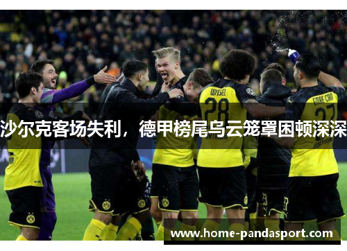 沙尔克客场失利，德甲榜尾乌云笼罩困顿深深